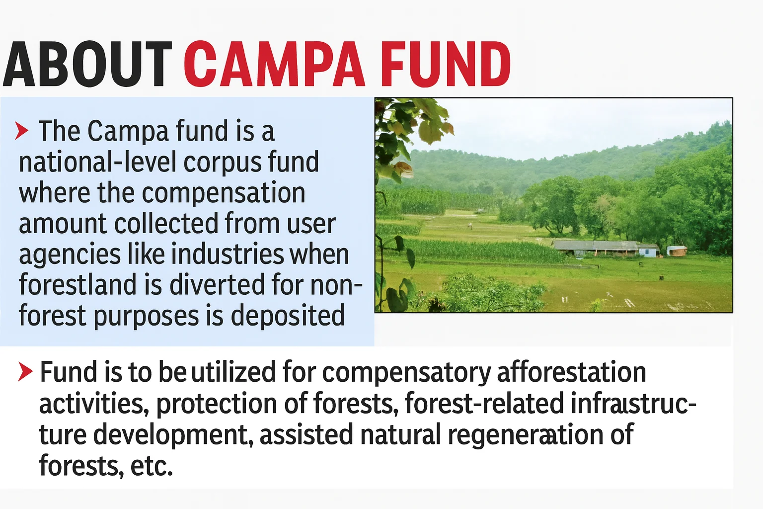 CAMPA Fund
